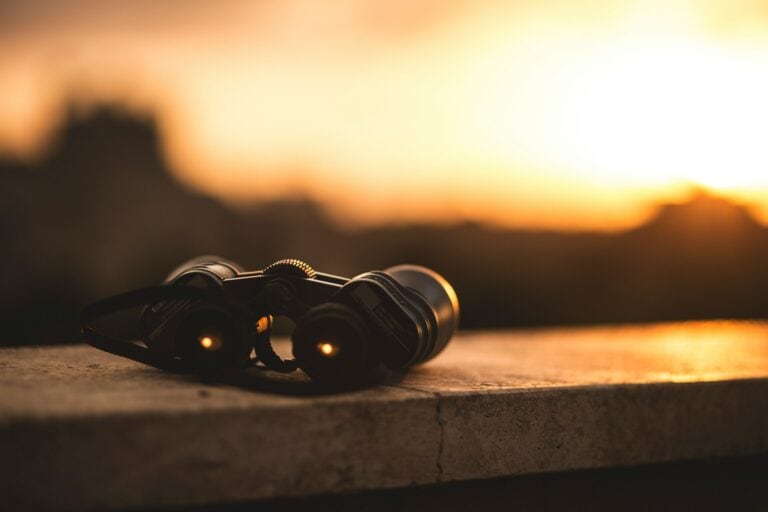 Best Hunting Binoculars 2026: Top 5 Picks for Every Budget